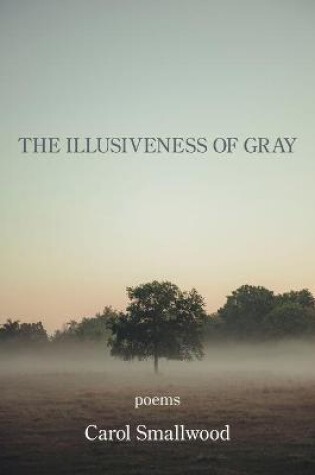 Cover of The Illusiveness of Gray