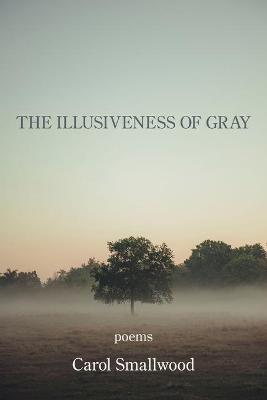 Book cover for The Illusiveness of Gray