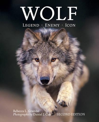 Book cover for Wolf: Legend, Enemy, Icon