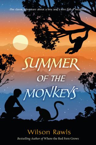 Cover of Summer of the Monkeys