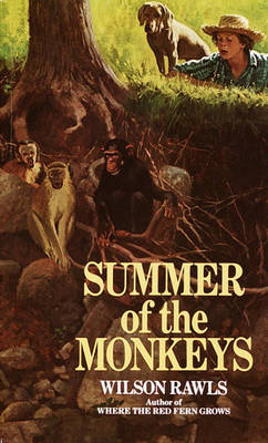 Book cover for Summer of the Monkeys