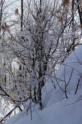 Cover of 2019 Weekly Planner Winter Ice Storm Branches Ice Coated 134 Pages