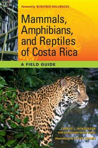 Cover of Mammals, Amphibians, and Reptiles of Costa Rica