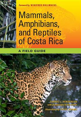 Cover of Mammals, Amphibians, and Reptiles of Costa Rica