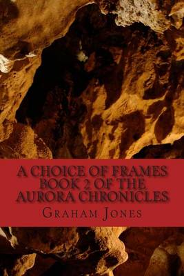 Book cover for A Choice of Frames