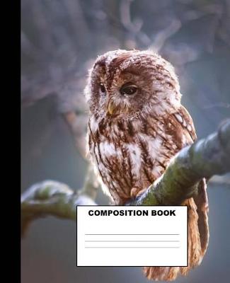 Book cover for Owl Composition Book