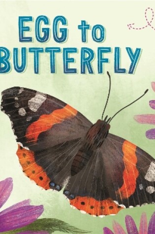 Cover of Life Cycles: Egg to Butterfly