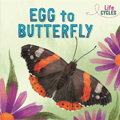 Cover of Life Cycles: Egg to Butterfly