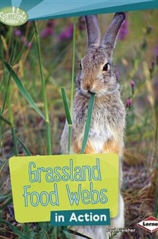 Cover of Grassland Food Webs in Action