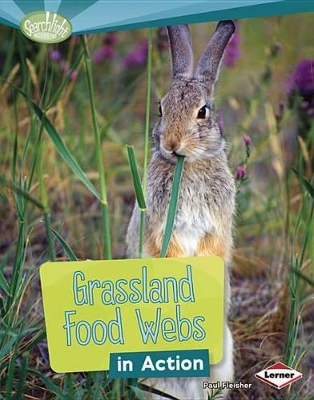 Cover of Grassland Food Webs in Action
