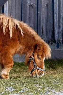 Book cover for Miniature Horse