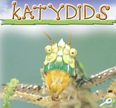 Book cover for Katydids