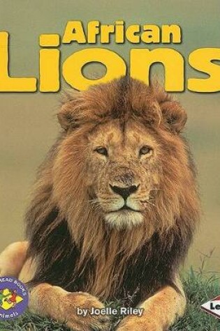 Cover of African Lions