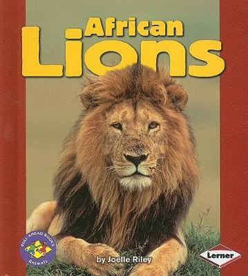 Book cover for African Lions