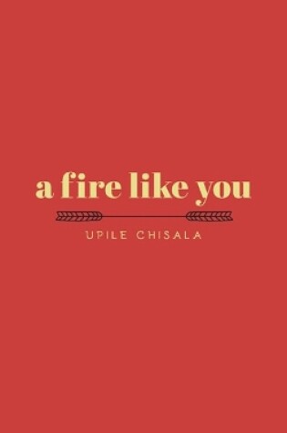 Cover of a fire like you