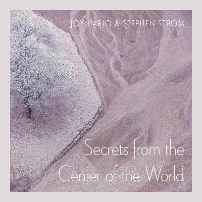 Book cover for Secrets From The Center Of The World