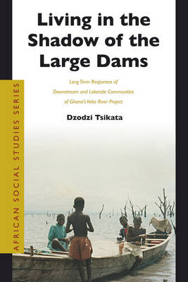 Book cover for Living in the Shadow of the Large Dams