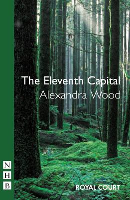 Book cover for The Eleventh Capital