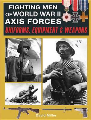 Book cover for Fighting Men of World War II Axis Forces