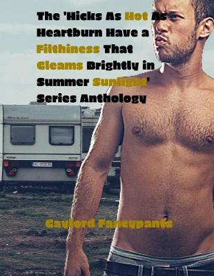 Book cover for The 'Hicks As Hot As Heartburn Have a Filthiness That Gleams Brightly in Summer Sunlight' Series Anthology