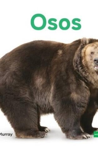 Cover of Osos (Bears) (Spanish Version)