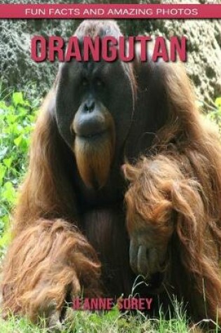 Cover of Orangutan