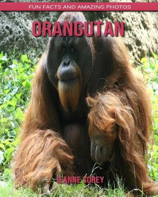 Book cover for Orangutan