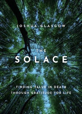 Book cover for The Solace