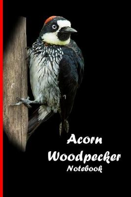 Book cover for Acorn Woodpecker Notebook