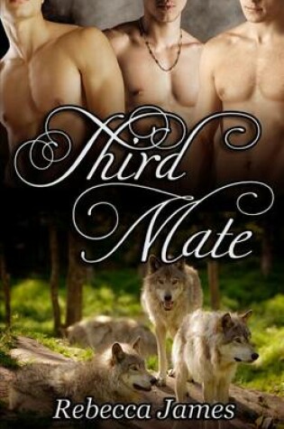 Cover of Third Mate