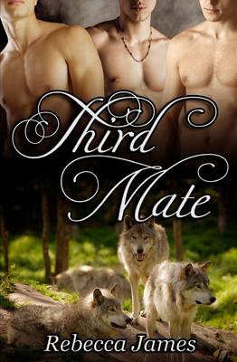 Book cover for Third Mate