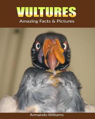 Book cover for Vultures