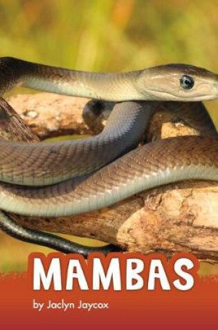 Cover of Mambas