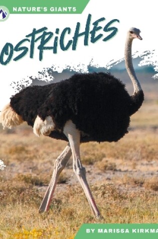 Cover of Ostriches