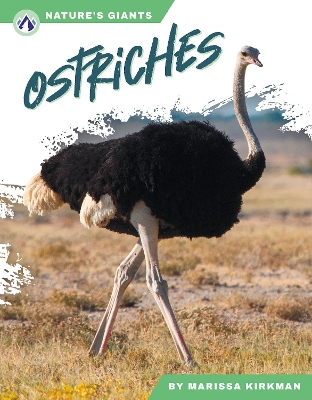 Book cover for Ostriches