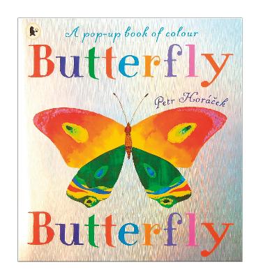 Book cover for Butterfly, Butterfly
