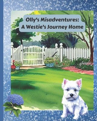 Book cover for Olly's Misadventure's