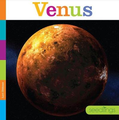 Book cover for Venus