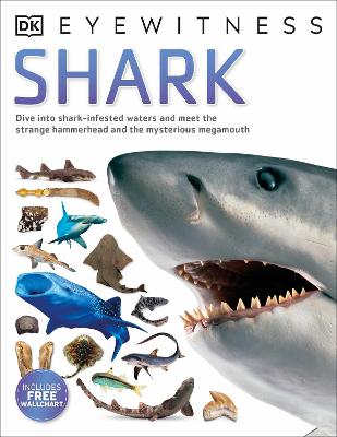 Book cover for Shark