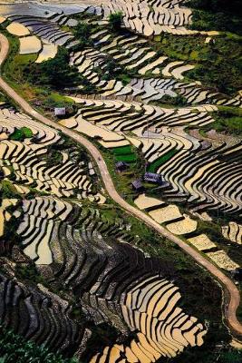 Book cover for Green Terraces in Vietnam Journal