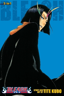 Cover of Bleach (3-in-1 Edition), Vol. 13