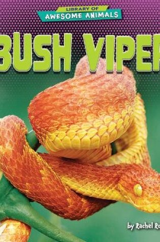 Cover of Bush Viper