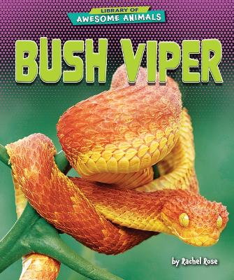 Book cover for Bush Viper