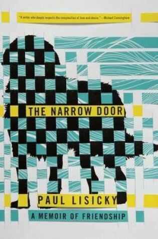 Cover of The Narrow Door