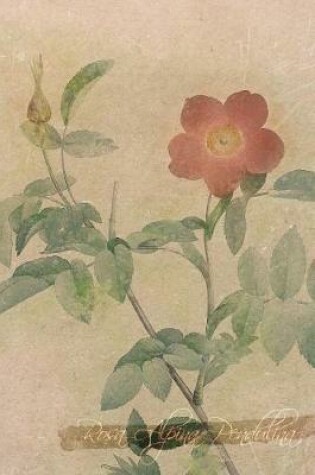 Cover of Rosa Alpina Pendulina