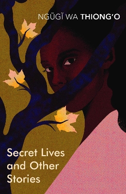 Book cover for Secret Lives & Other Stories