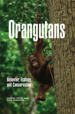Cover of Orangutans