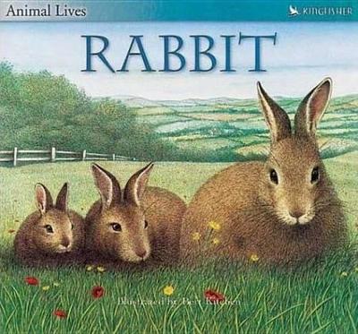 Cover of Rabbit