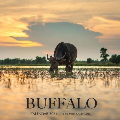 Book cover for Buffalo Calendar 2021