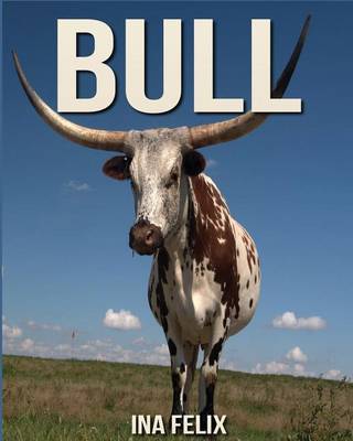 Book cover for Bull